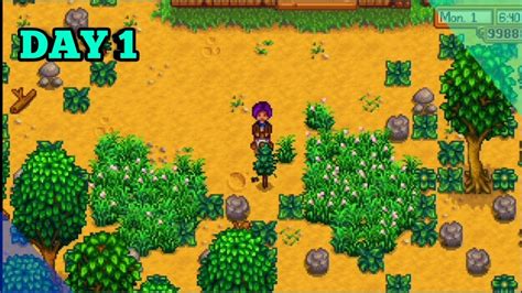  Stardew Valley – Ett lantligt äventyr fyllt med charm och hemligheter!